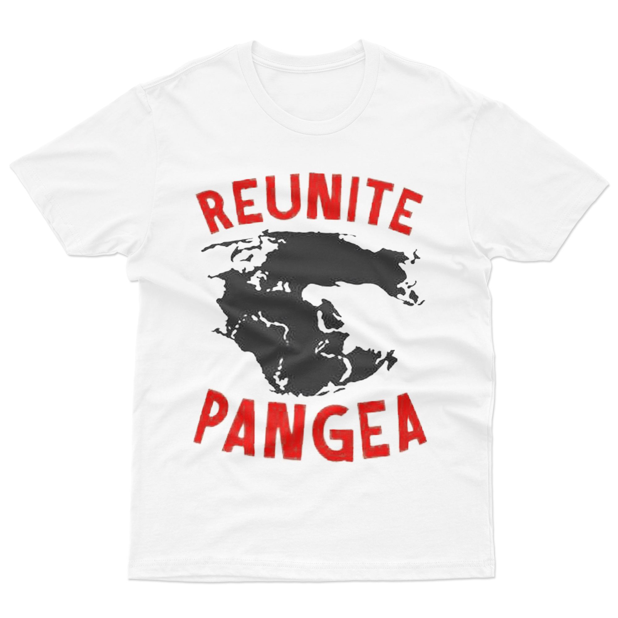 together pangea t shirt